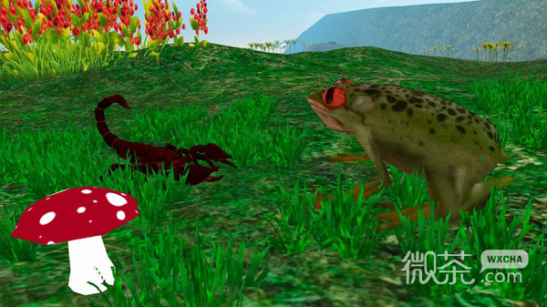 雨林青蛙生存模拟1