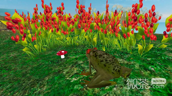 雨林青蛙生存模拟3